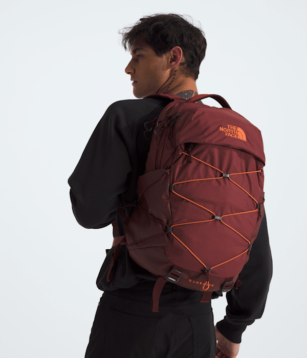 Borealis Backpack - Image 5