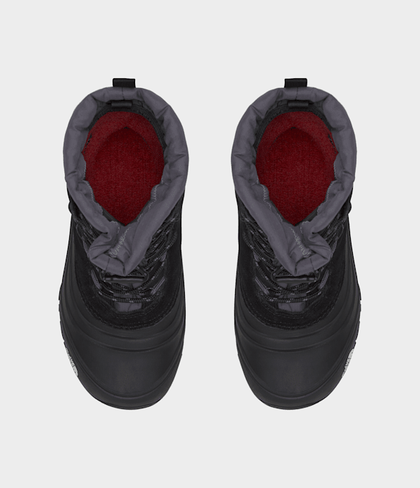 Youth Alpenglow V Waterproof Boots