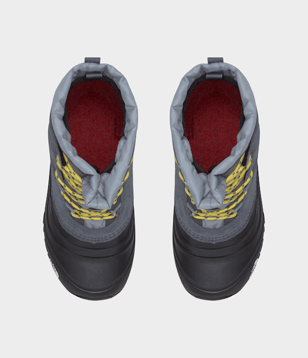 Youth Alpenglow V Waterproof Boots