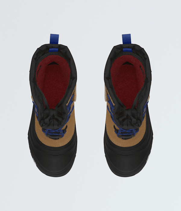Youth Alpenglow V Waterproof Boots