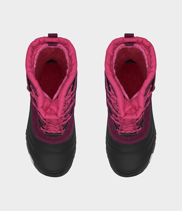 Youth Alpenglow V Waterproof Boots